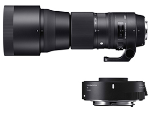 150-600mm F5-6.3 DG OS HSM Contemporary テレコンバーターキット (シグマ SAマウント)