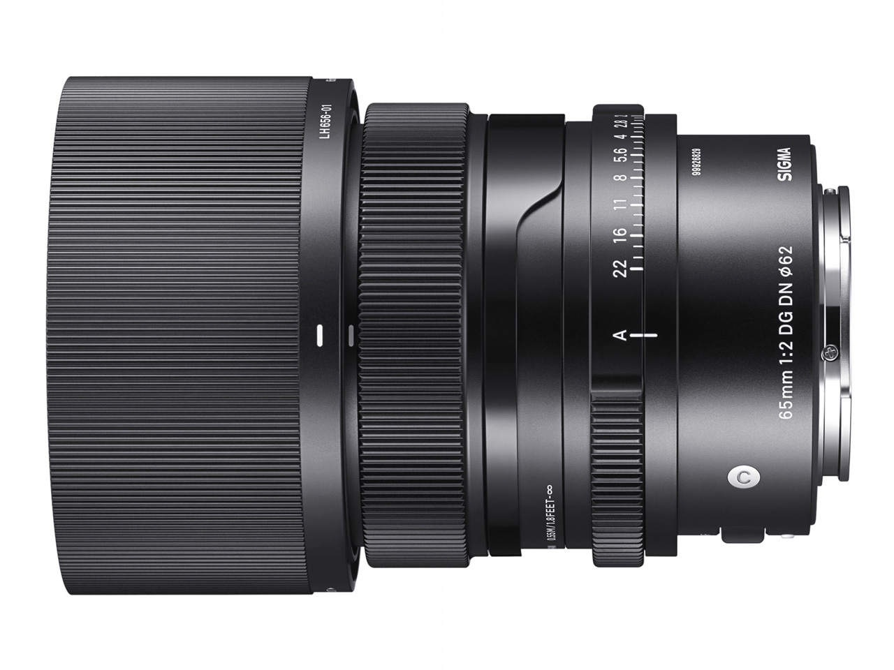 65mm F2 DG DN