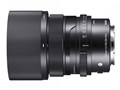 65mm F2 DG DN