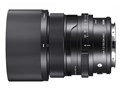 65mm F2 DG DN
