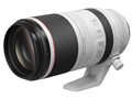 RF100-500mm F4.5-7.1 L IS USM