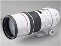 EF300mm F4L IS USM