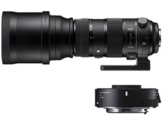 150-600mm F5-6.3 DG OS HSM Sports テレコンバーターキット (キヤノン EFマウント)